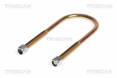 TRISCAN 8765 100004 Volkswagen TIGUAN 2016 Parabolic leaf springs