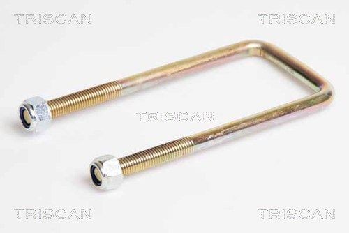 TRISCAN M14 Spring Clamp 8765 140004 buy