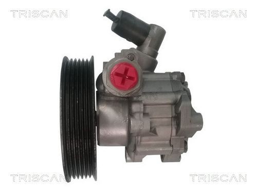 TRISCAN 851523639 Power steering pump 004 466 93 01