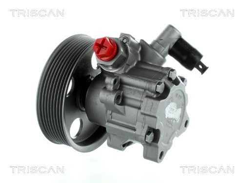 TRISCAN 851523660 Power steering pump A 004 466 89 01