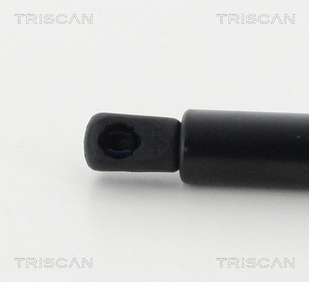 871024236 Boot gas struts TRISCAN 8710 24236 review and test