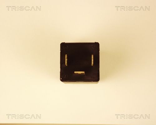TRISCAN Indicator relay 1010 EP35