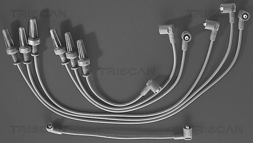 TRISCAN 501-4591 Zylinderkopfdichtung für BMC LEVEND LKW in Original Qualität