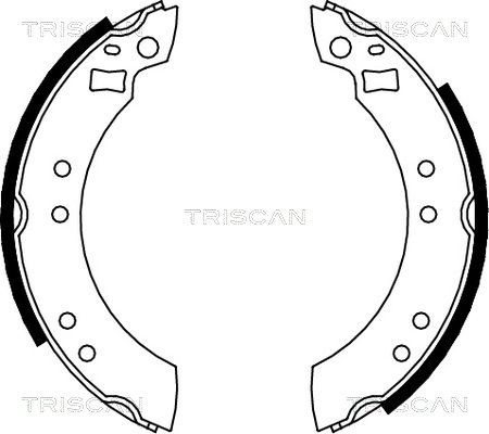 TRISCAN 810010280 Brake Shoe Set 1 560 229