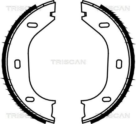 TRISCAN 810010290 Brake Shoe Set 60520463