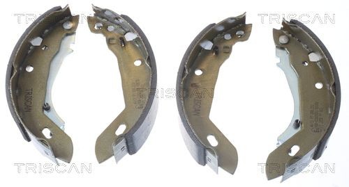 TRISCAN 8100 10389 Brake Shoe Set 180 x 42 mm, with accessories