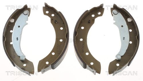 TRISCAN 8100 10572 Brake Shoe Set 203 x 38 mm, TRW, with accessories, with lever