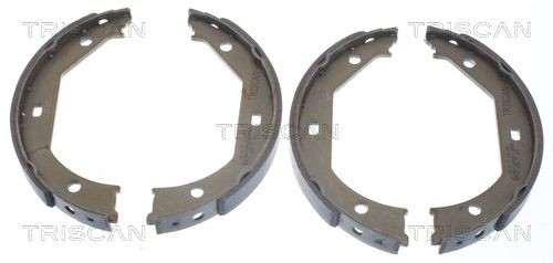 original BMW F30 Brake shoes front and rear TRISCAN 8100 11638