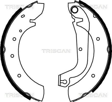 TRISCAN 810015480 Brake Shoe Set 9941210