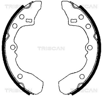 TRISCAN 810050434 Brake Shoe Set B092-26310
