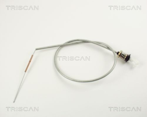 TRISCAN 814025307 Accelerator cable RENAULT 11 Hatchback 1.4 60 hp Petrol 1985 price