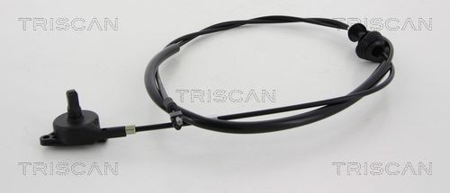 Hood and parts TRISCAN - 8140 25602
