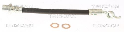 TRISCAN 8150 13343 Brake hose F10x1, 231 mm