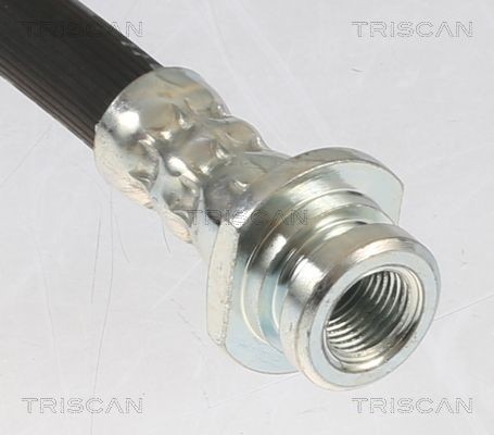 Flexible brake pipe TRISCAN F10x1, 190 mm - 8150 15216