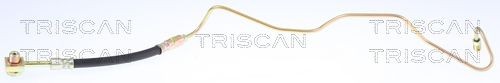 Great value for money - TRISCAN Brake hose 8150 29269