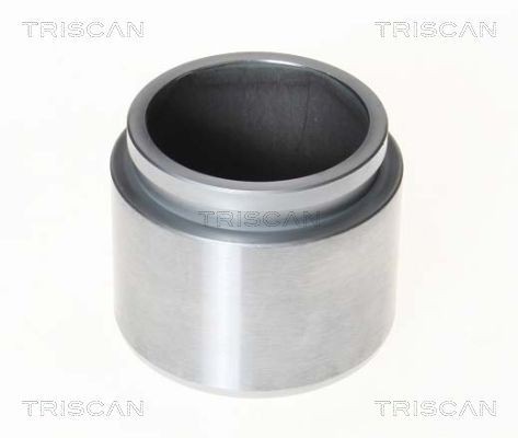 TRISCAN 8170 232143 Piston, brake caliper DODGE experience and price
