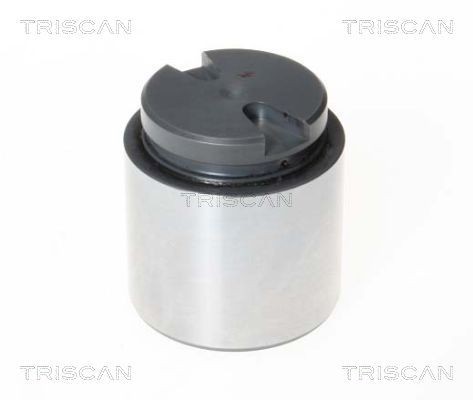 Great value for money - TRISCAN Piston, brake caliper 8170 234867