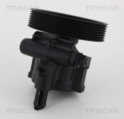TRISCAN 851510615 Power steering pump 4402668