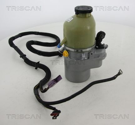 TRISCAN 851524625 Power steering pump 24436412