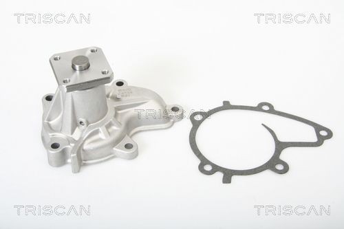 TRISCAN Water pumps 8600 14893 buy