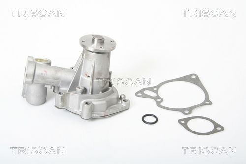 TRISCAN Water pumps 8600 42001 buy