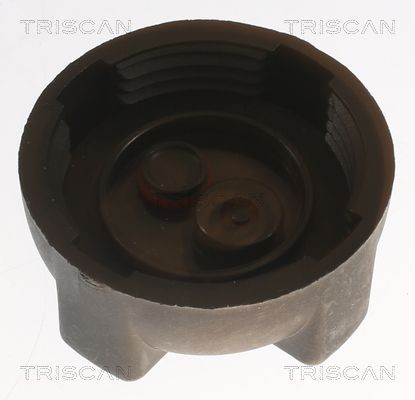 TRISCAN Expansion tank cap 8610 10