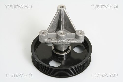 TRISCAN 8641102031 Tensioner pulley 82 00 171 807