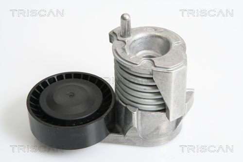 TRISCAN 8641103029 Tensioner pulley 3071 1320