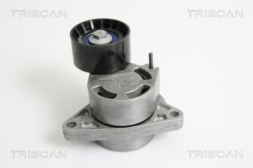 TRISCAN 8641103030 Tensioner pulley 93161221