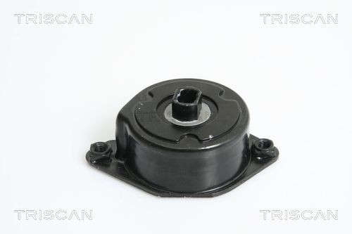 TRISCAN 8641113028 Tensioner pulley 64552354037