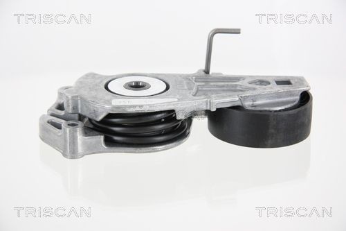 TRISCAN 8641113030 Tensioner pulley 1128 1 482 199