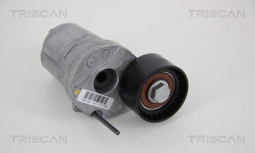 TRISCAN 55 mm x 29 mm Width: 29mm Tensioner Lever, v-ribbed belt 8641 113036 buy