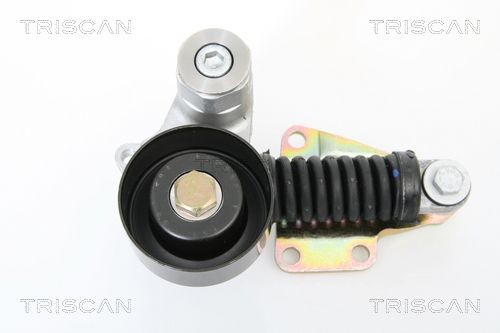 TRISCAN 8641153006 Tensioner pulley 60 813 569