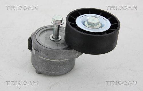 TRISCAN 8641153010 Tensioner pulley 46 750 224