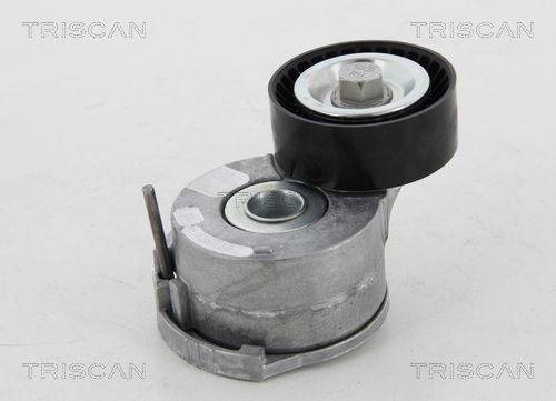 TRISCAN 8641161014 Tensioner pulley 1 683 646