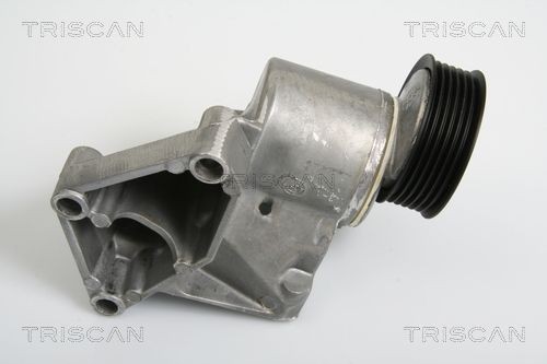 TRISCAN 8641163007 Tensioner pulley 1 152 890