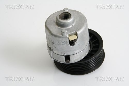 TRISCAN 8641163013 Tensioner pulley YS6E6A228CA