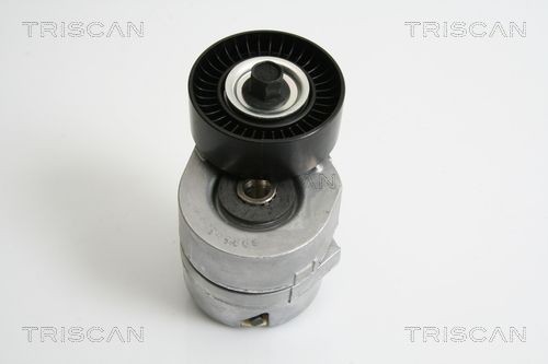 TRISCAN 8641163015 Tensioner pulley 95WF-6A228-BB