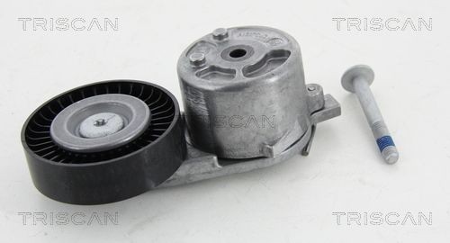 TRISCAN 8641163019 Tensioner pulley 1 425 510