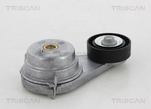 Smart Tensioner pulley TRISCAN 8641 231023 at a good price