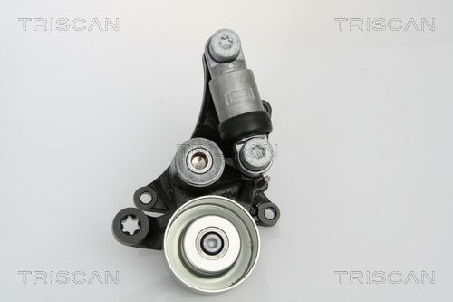 TRISCAN 8641233010 Tensioner pulley A6112000670