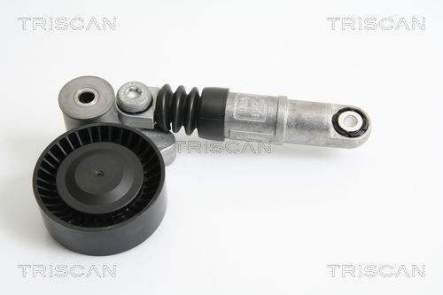TRISCAN 8641233015 Tensioner pulley 6422000770