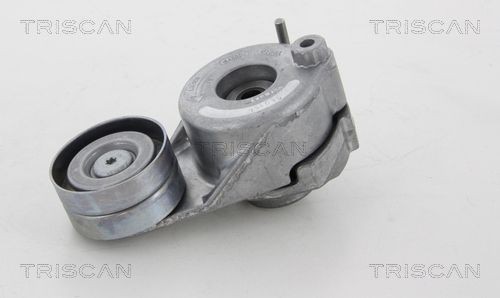 TRISCAN 8641233020 Tensioner pulley 642 200 04 70