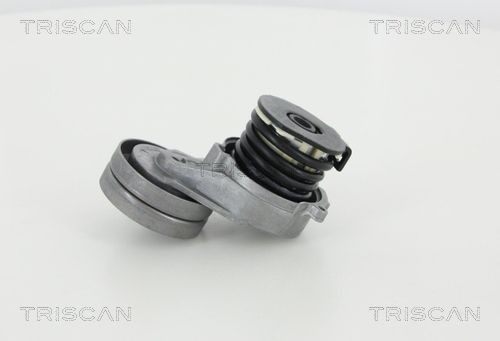 TRISCAN 8641243011 Tensioner pulley 8980055640