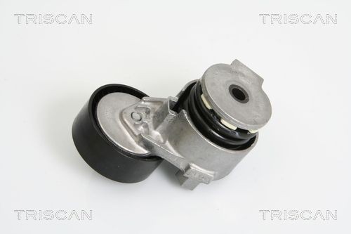 Nissan TIIDA Tensioner Lever, v-ribbed belt TRISCAN 8641 253007 cheap