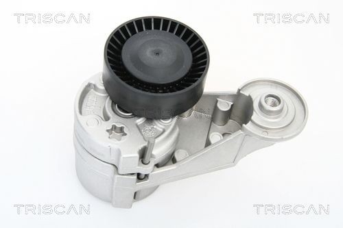 TRISCAN 8641273002 Tensioner pulley 3 063 796-1
