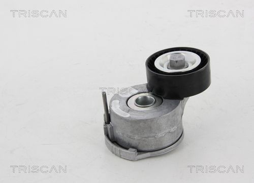TRISCAN 8641281026 Tensioner pulley 96 716 091 80
