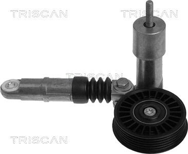 TRISCAN 8641293004 Tensioner pulley 038 145 283A