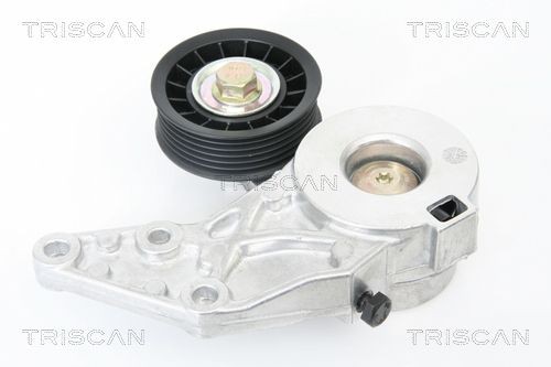 TRISCAN 8641293013 Tensioner pulley 022145299