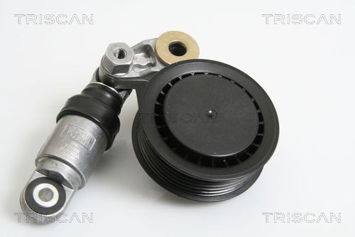 TRISCAN 8641293030 Tensioner pulley 076145283
